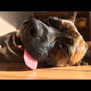 Meet your Posher, Charlotte